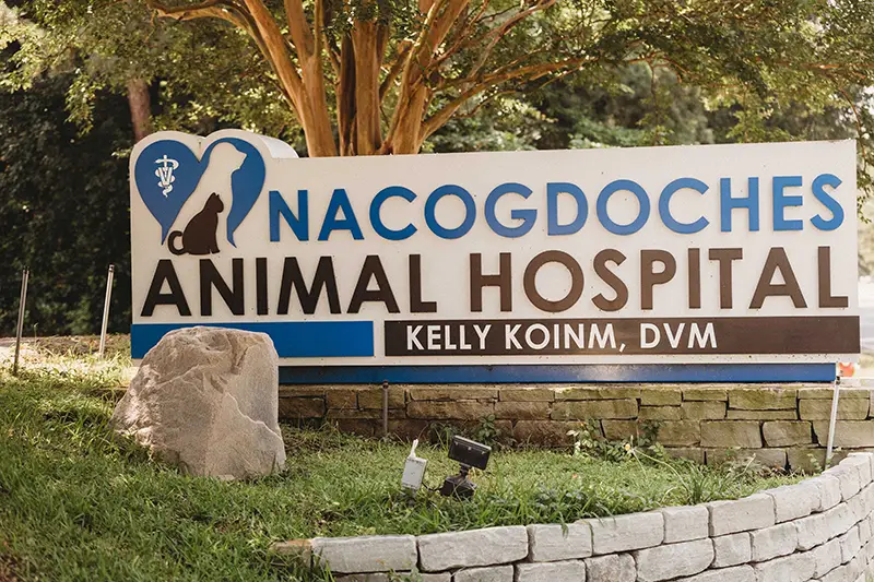 Nacogdoches Animal Hospital