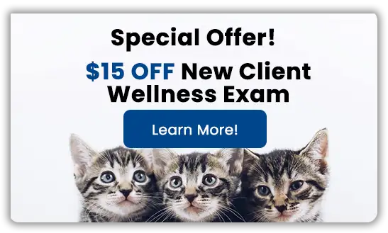 Special Offer! $15 OFF New Client Wellness Exam!