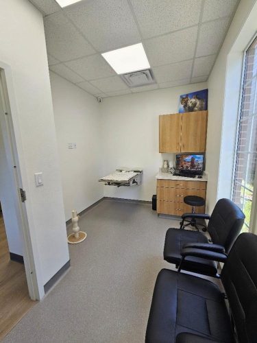Cat exam rooms 01