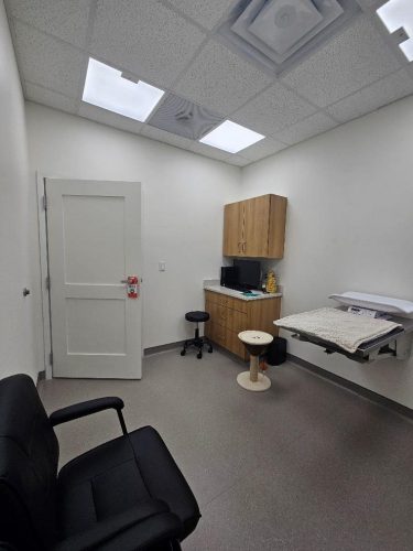 Cat exam rooms 02