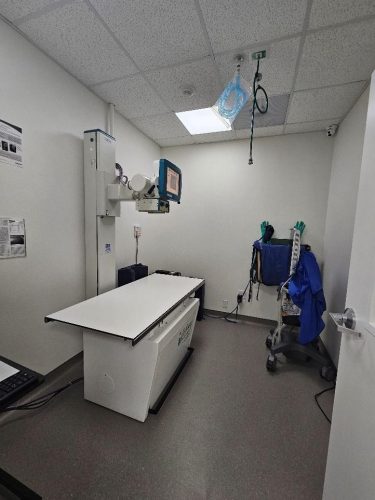 Radiology ultrasound