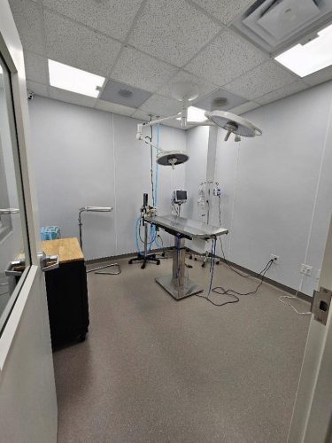Surgery suite
