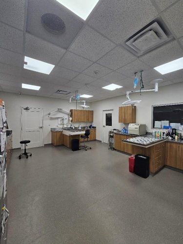 Treatment area